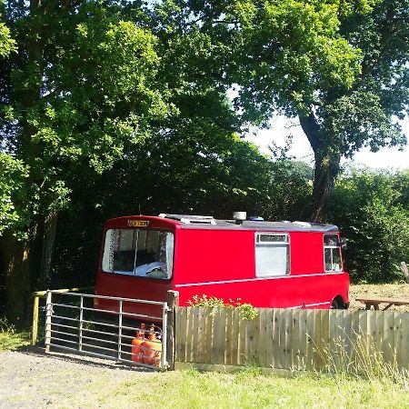 מלון Lamerton The Megabus Near Tavistock And Dartmoor. מראה חיצוני תמונה