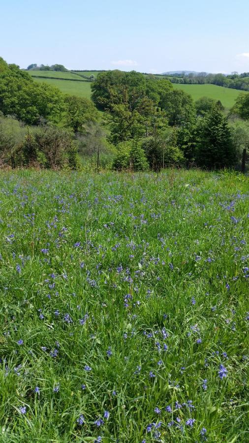 מלון Lamerton The Megabus Near Tavistock And Dartmoor. מראה חיצוני תמונה